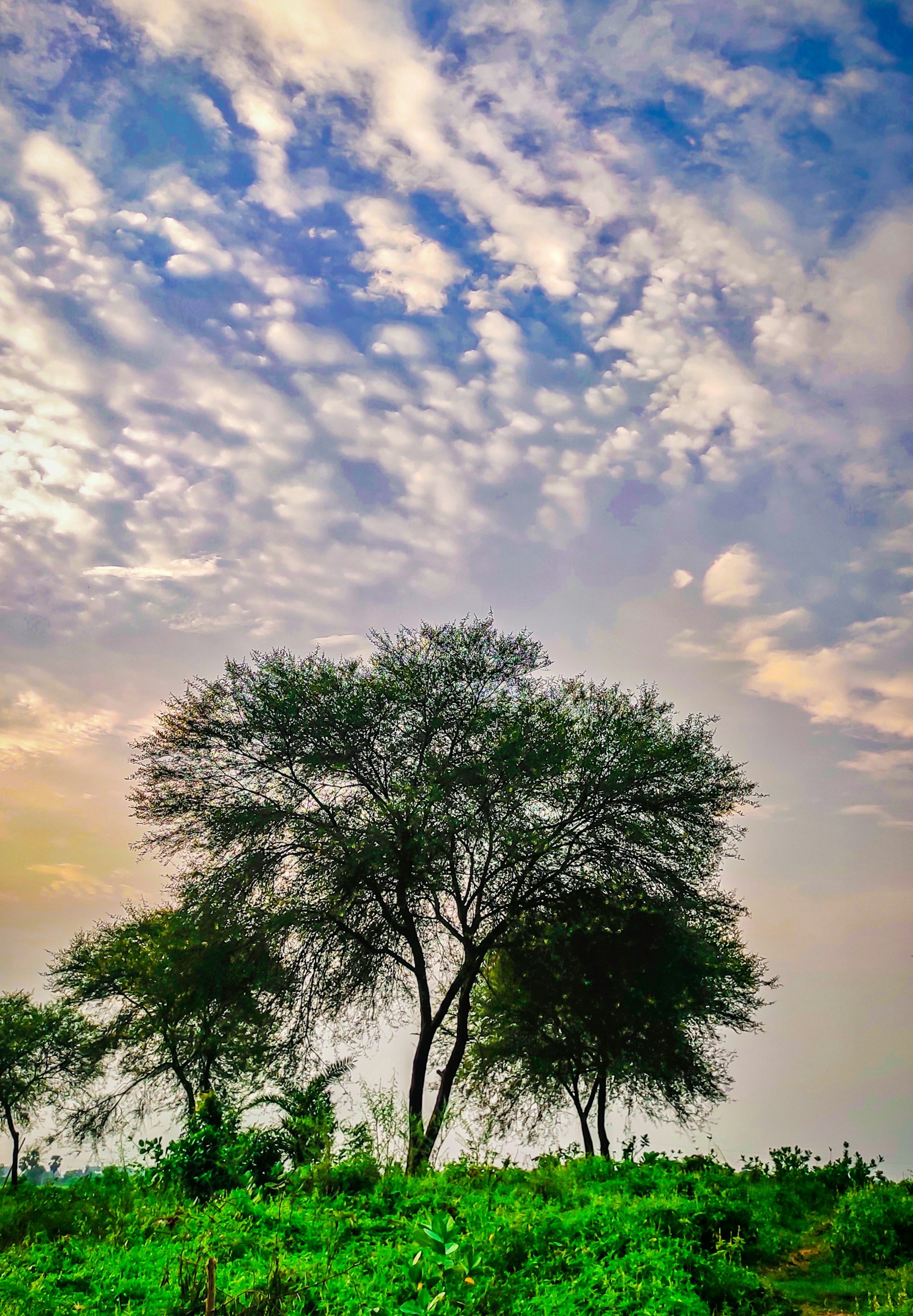 gray computer monitor