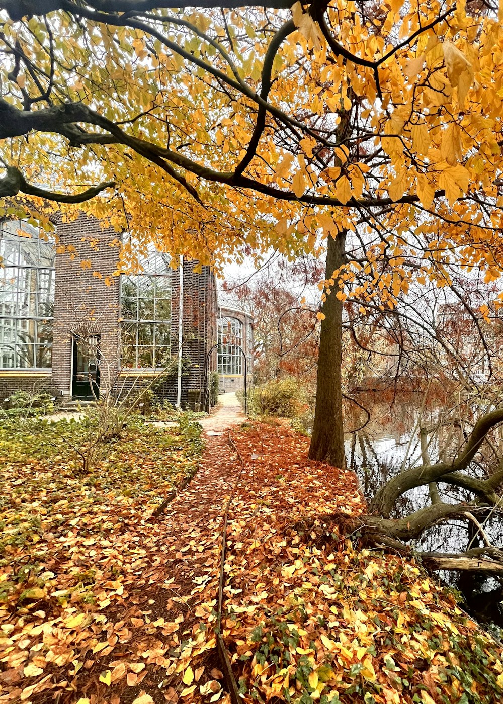 a leaf covered path in front of a building