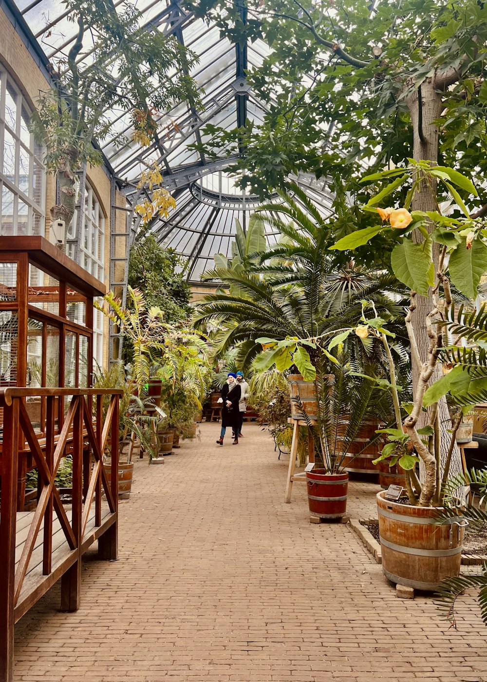 a person walking down a brick walkway in a greenhouse