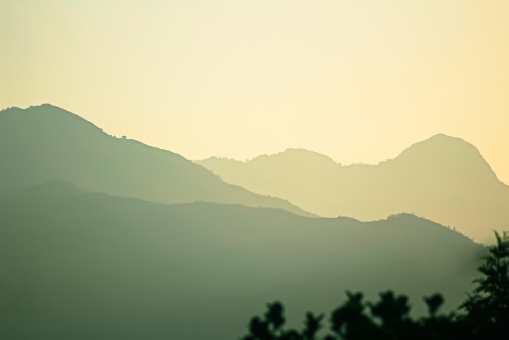 a view of a mountain range with trees in the foreground