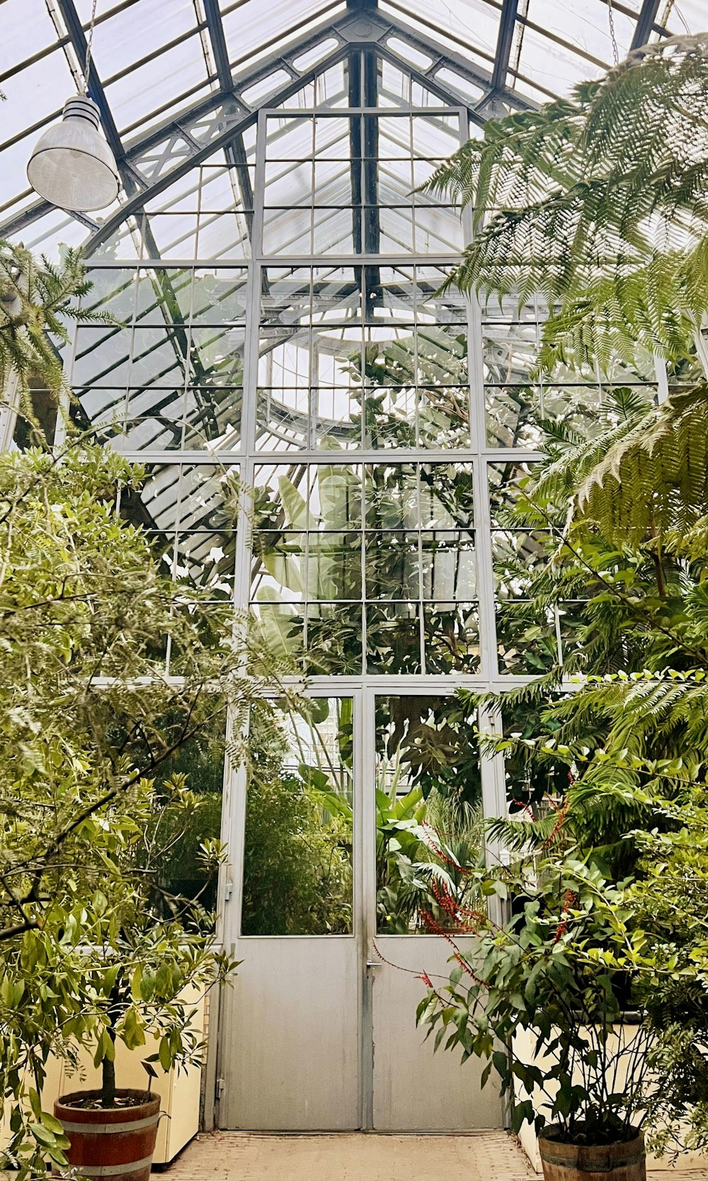 a white door in a greenhouse surrounded by trees
