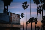 A Sidewalk Market sign is displayed prominently. A few birds are flying near the market's structure, while tall palm trees create silhouettes against a sunset sky with shades of blue, pink, and orange. The scene has a tranquil and picturesque coastal feel.