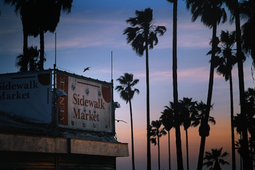 A Sidewalk Market sign is displayed prominently. A few birds are flying near the market's structure, while tall palm trees create silhouettes against a sunset sky with shades of blue, pink, and orange. The scene has a tranquil and picturesque coastal feel.