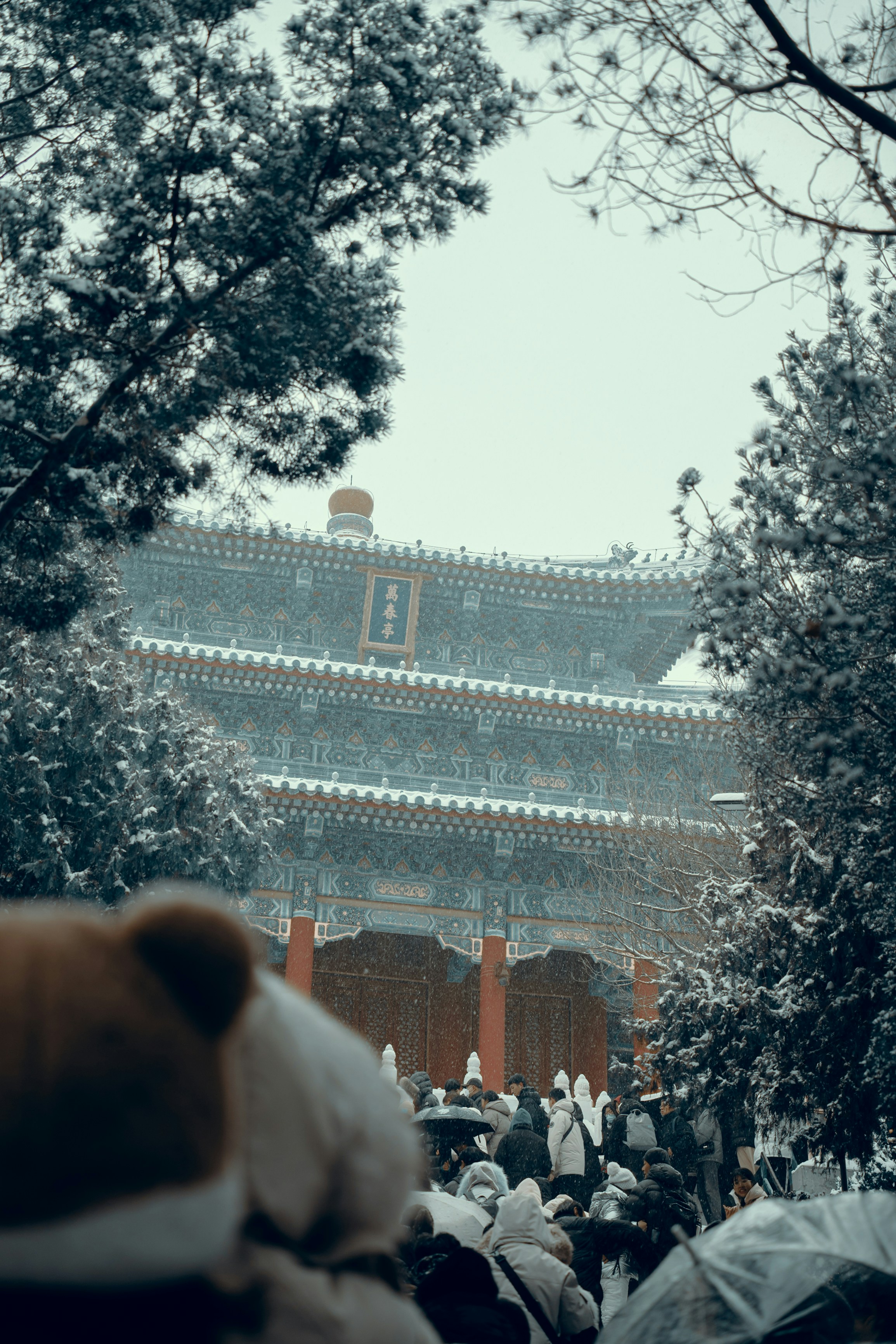 a teddy bear sitting in front of a building