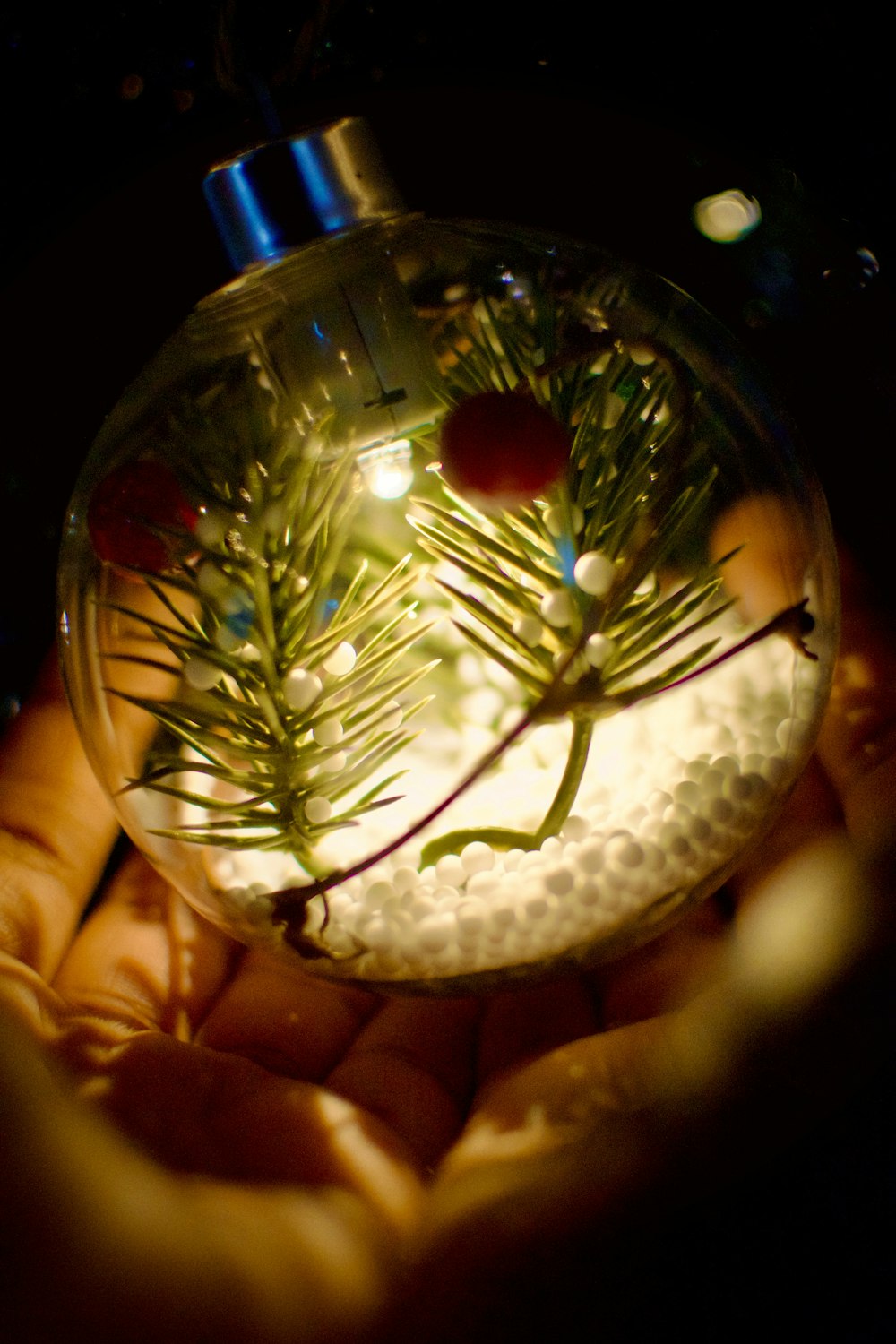 a hand holding a glass ornament with a pine tree inside of it