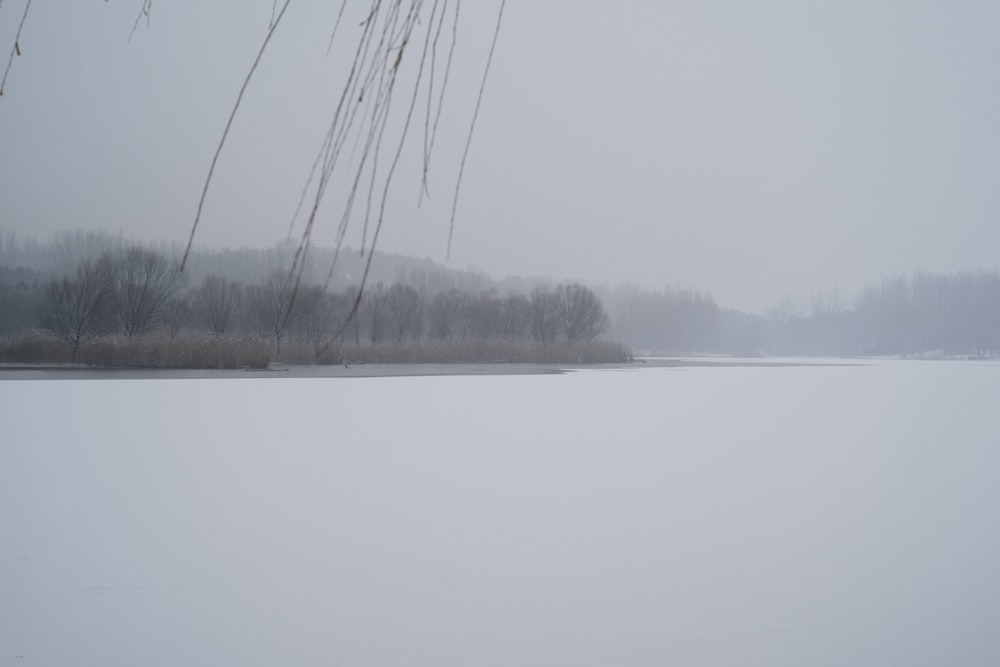 a body of water covered in snow next to a forest