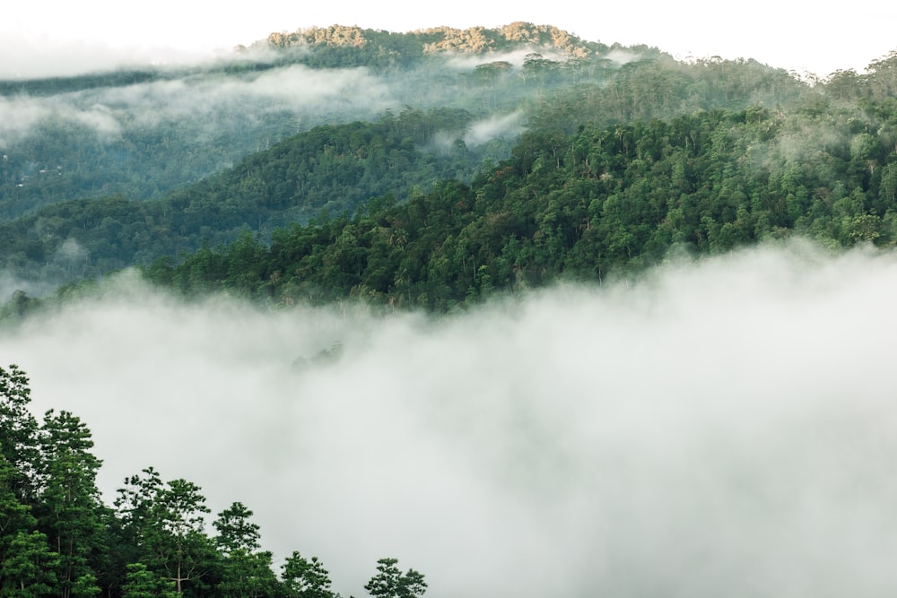 a mountain covered in fog and low lying clouds