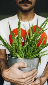 a man holding a potted plant in his hands