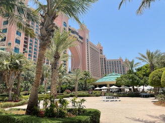 A large, pink-colored resort building with an archway takes center stage, surrounded by lush palm trees and manicured gardens. The foreground features an outdoor chessboard with pieces arranged for a game. A dome-roofed structure and shaded seating areas are visible beneath the clear blue sky.
