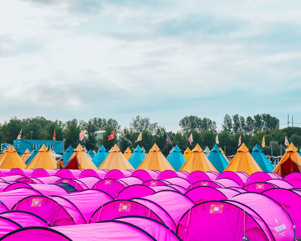 a large group of pink tents sitting next to each other