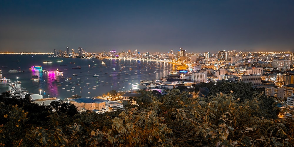 a view of a city at night from a hill