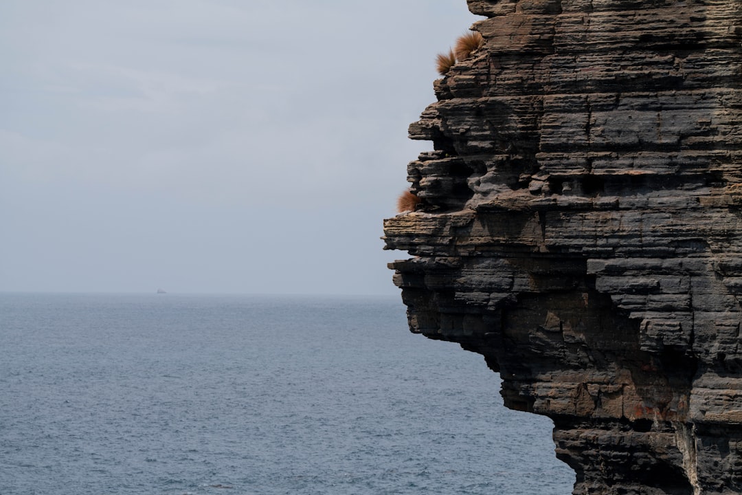 a cliff face with a body of water in the background,