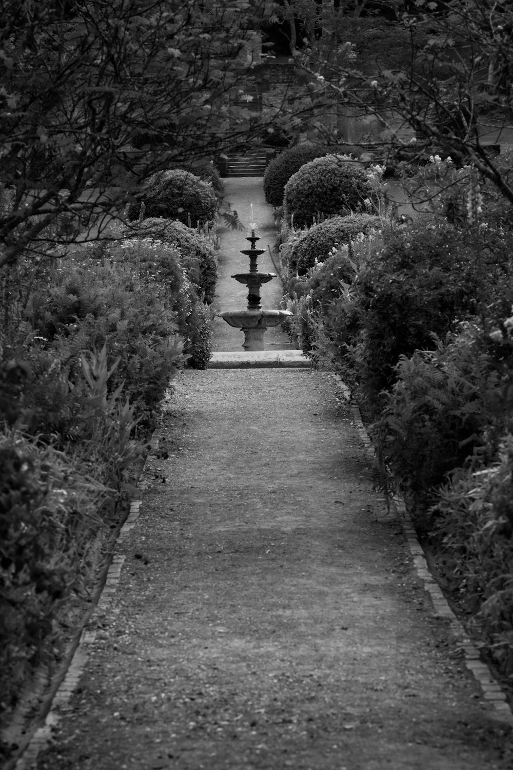 a black and white photo of a garden with a fountain