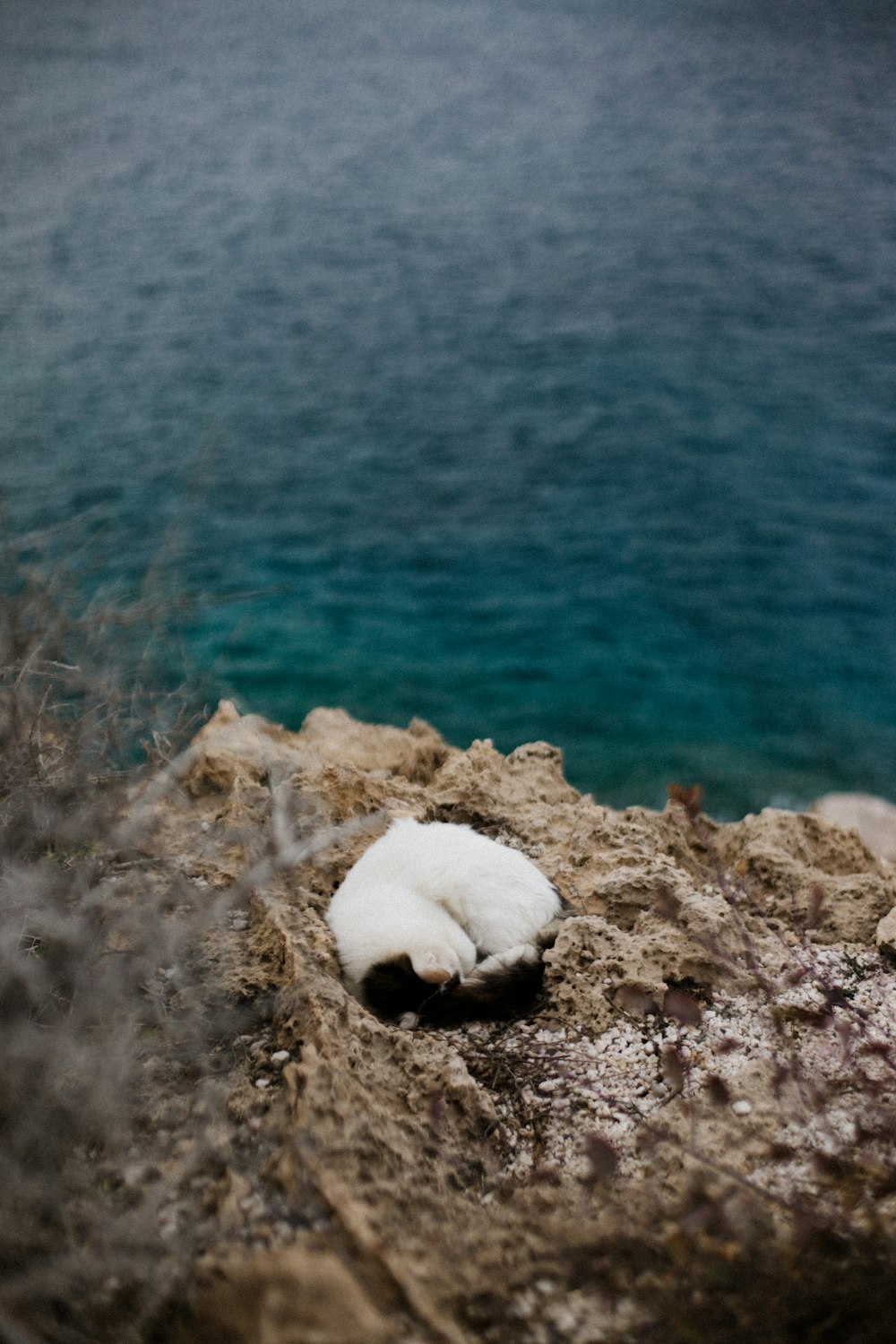 a rock with a piece of snow on top of it