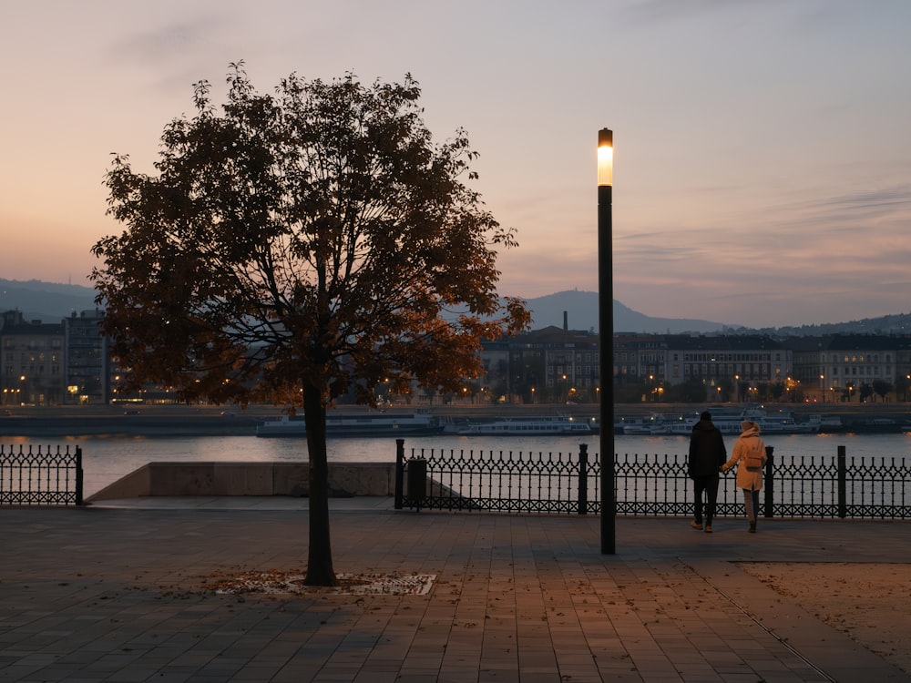 a couple of people walking down a sidewalk next to a tree