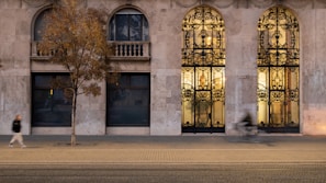 A city street scene with a stone facade featuring large, decorative ironwork doors and windows. The sidewalk is lined with tram tracks, a single tree, and two people in motion, both blurred slightly as if captured mid-movement.