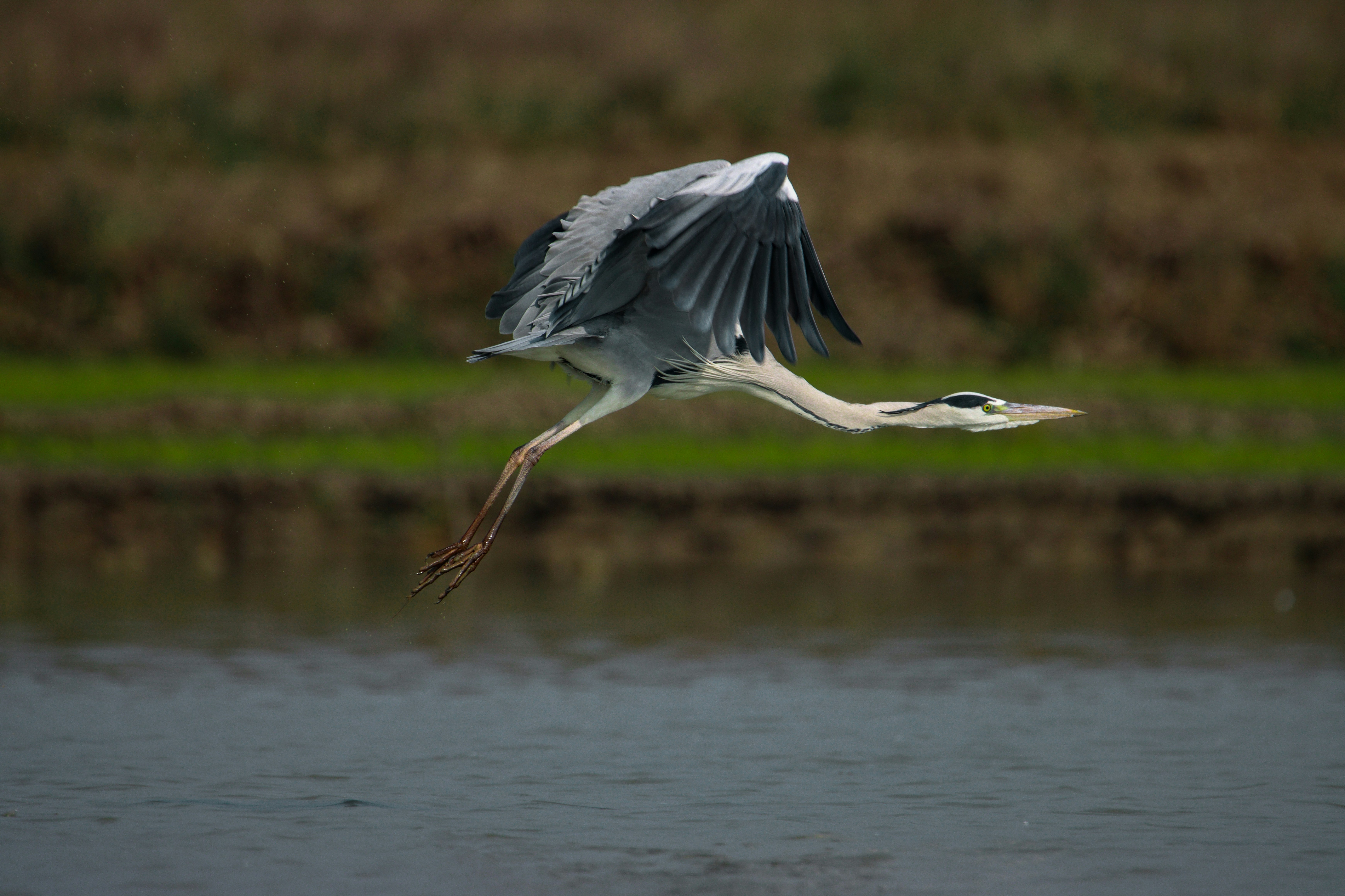 Photo by mhphotography13