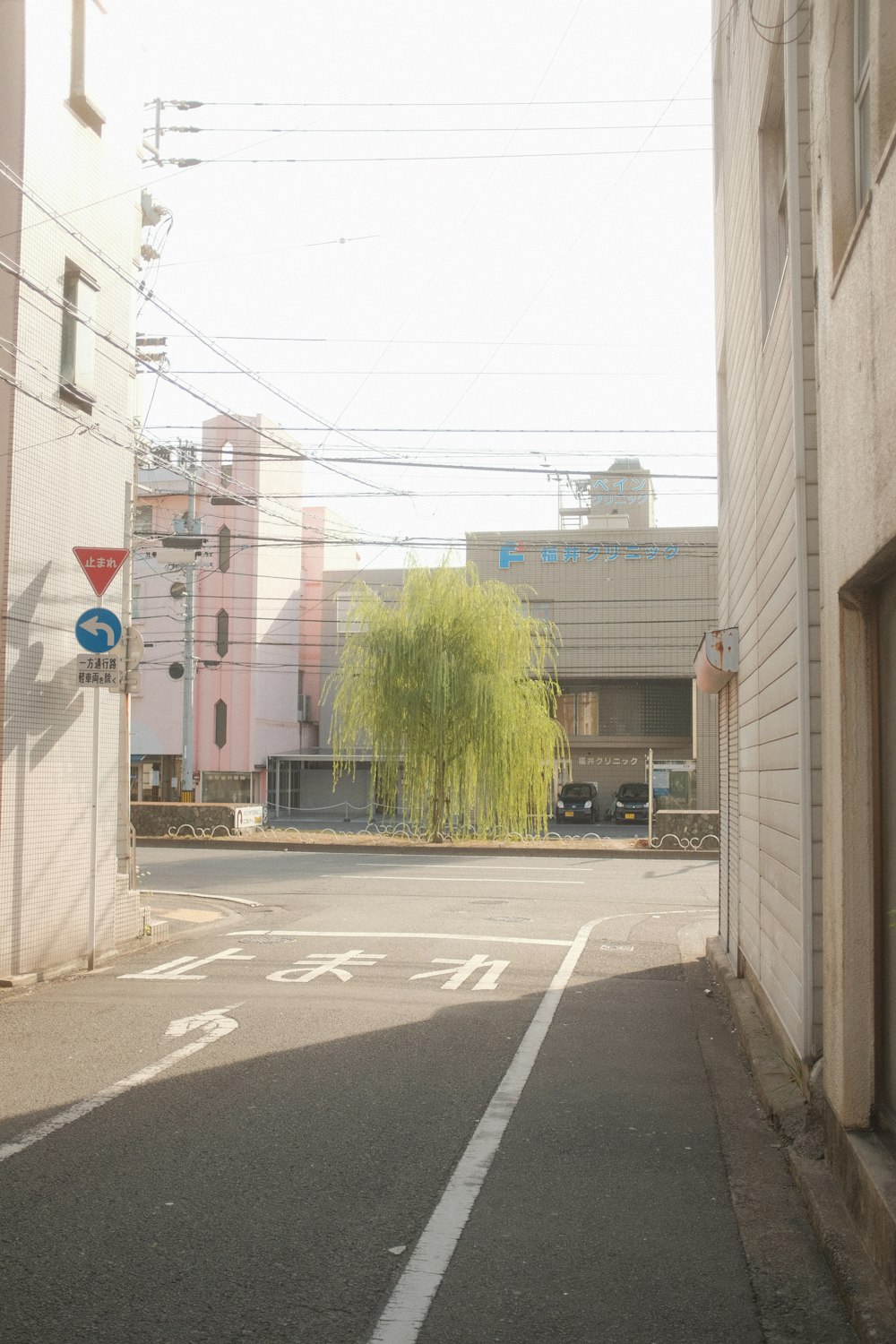an empty street with a tree in the middle of it