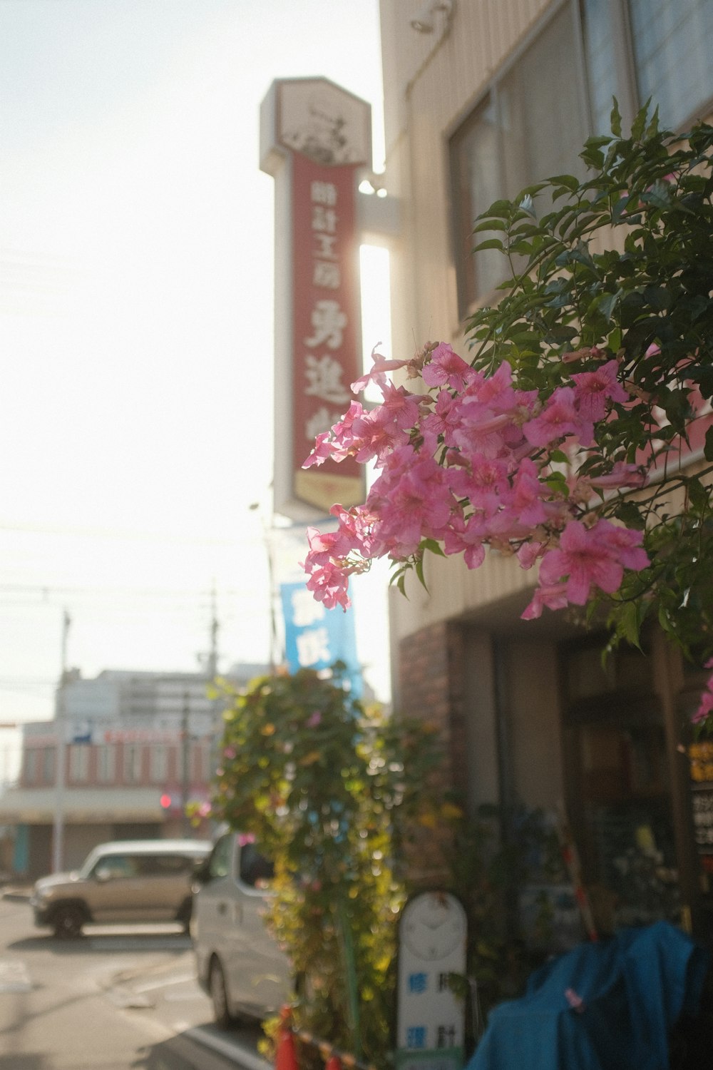 a car parked in front of a building with pink flowers