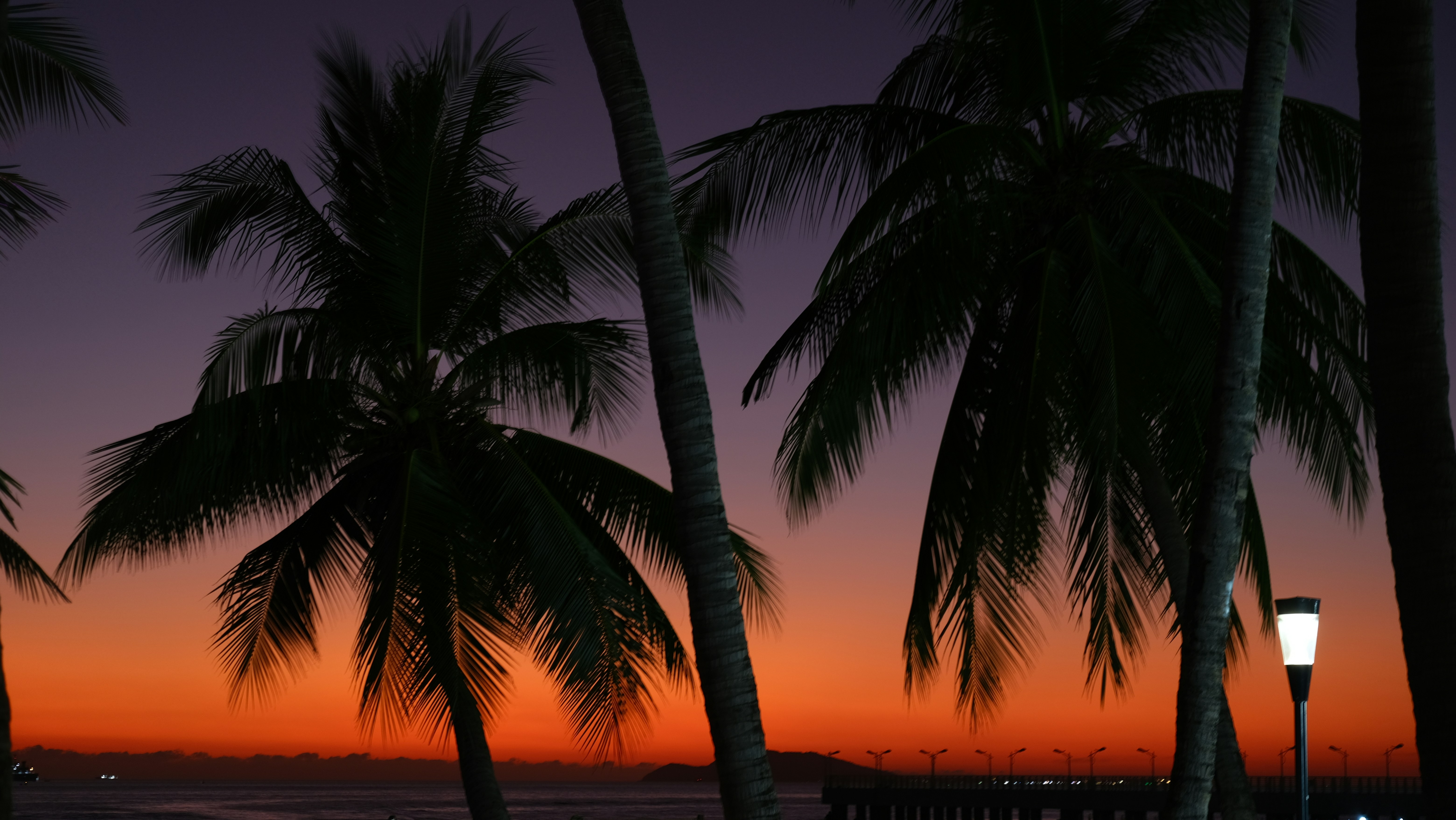 palm trees are silhouetted against an orange and purple sunset