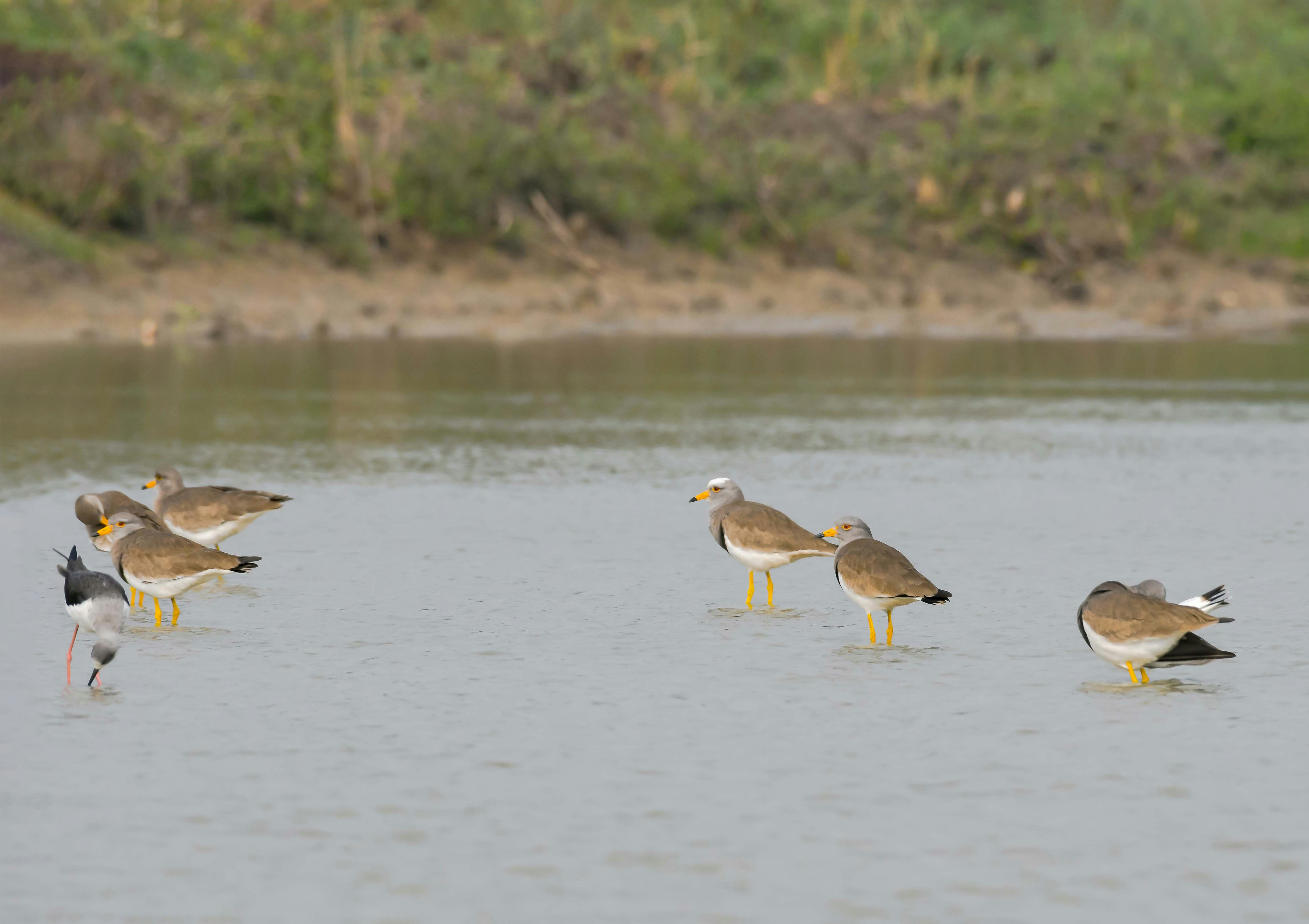 Photo by mhphotography13