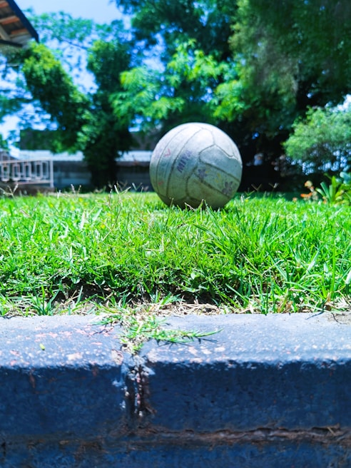 Players practicing volleys during a lively coaching session, with green trees and blue skies in the background.