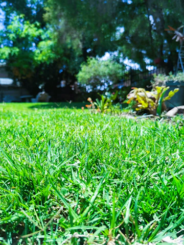 Freshly mowed lawn bordered by vibrant flower beds under a clear sky.