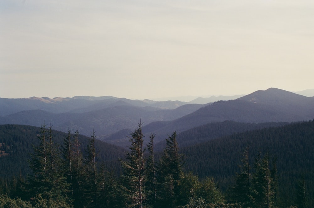 a view of a mountain range with trees in the foreground