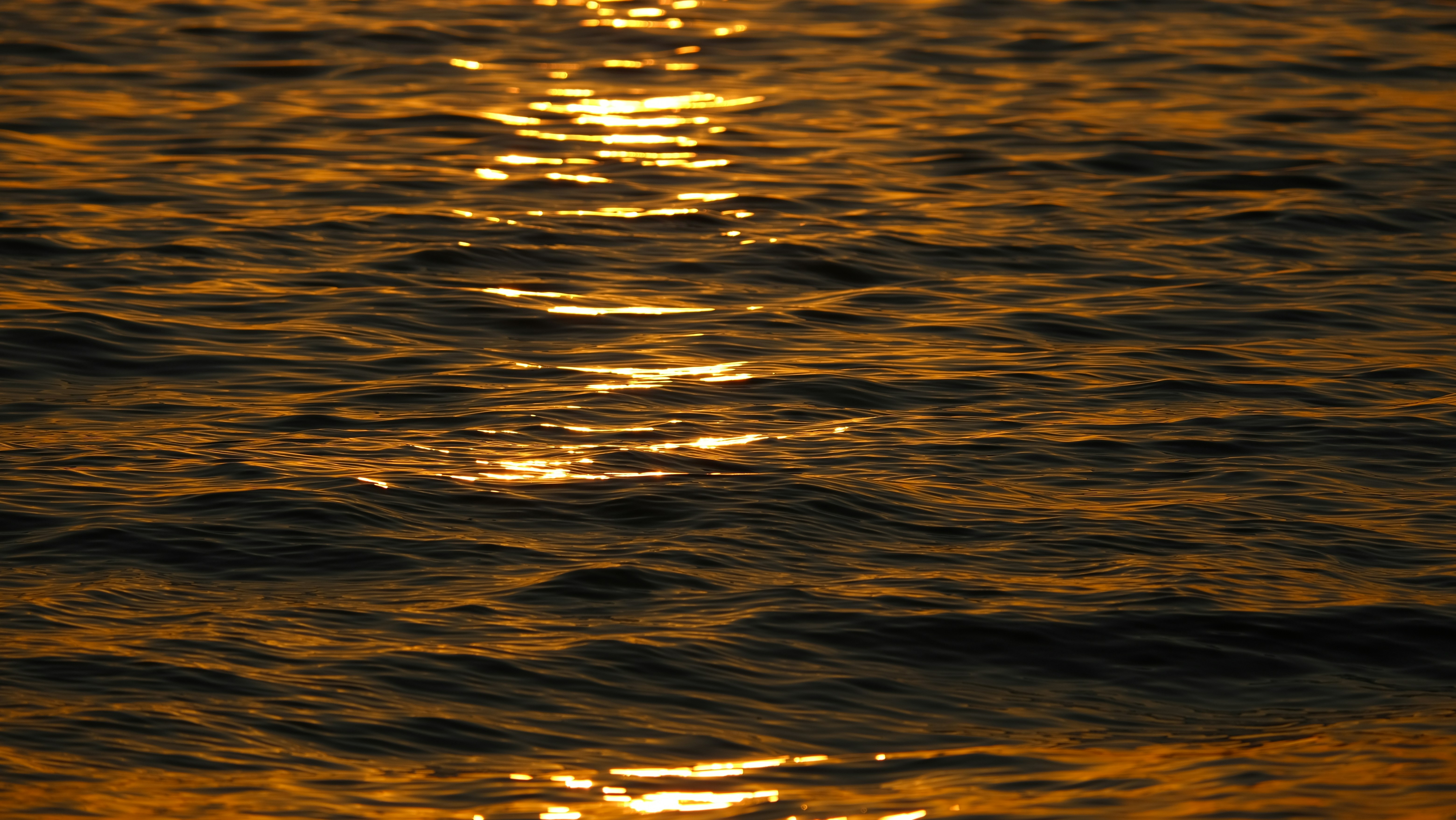 the sun reflecting off the water of a body of water