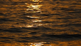 Golden reflections glisten on the surface of gently rippling water, creating a serene and warm atmosphere.