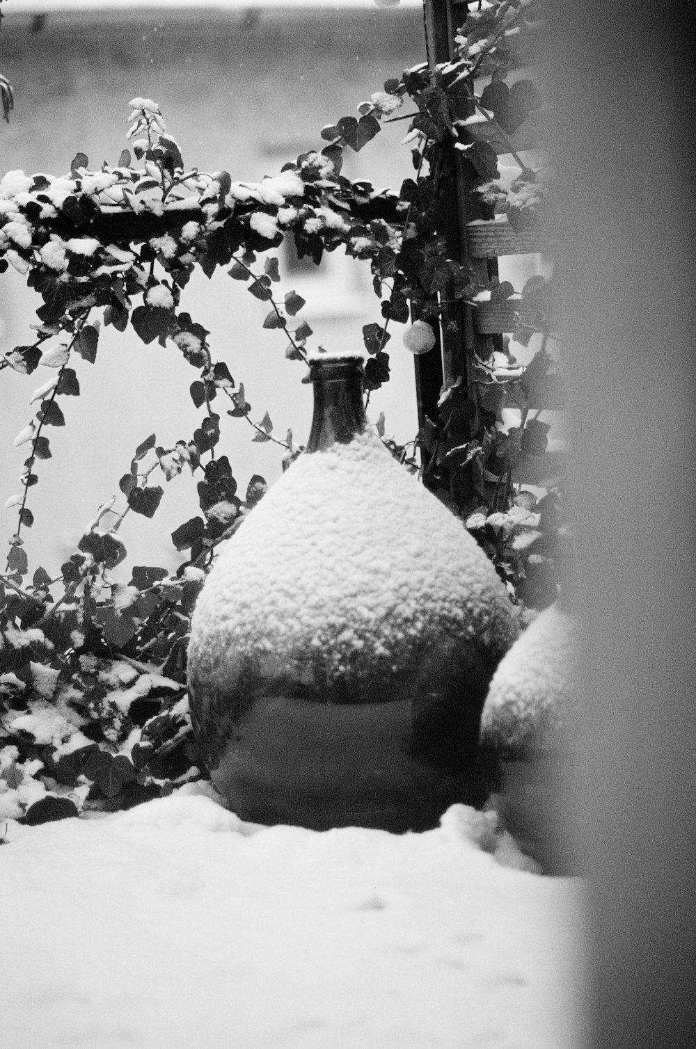 a black and white photo of a snow covered vase