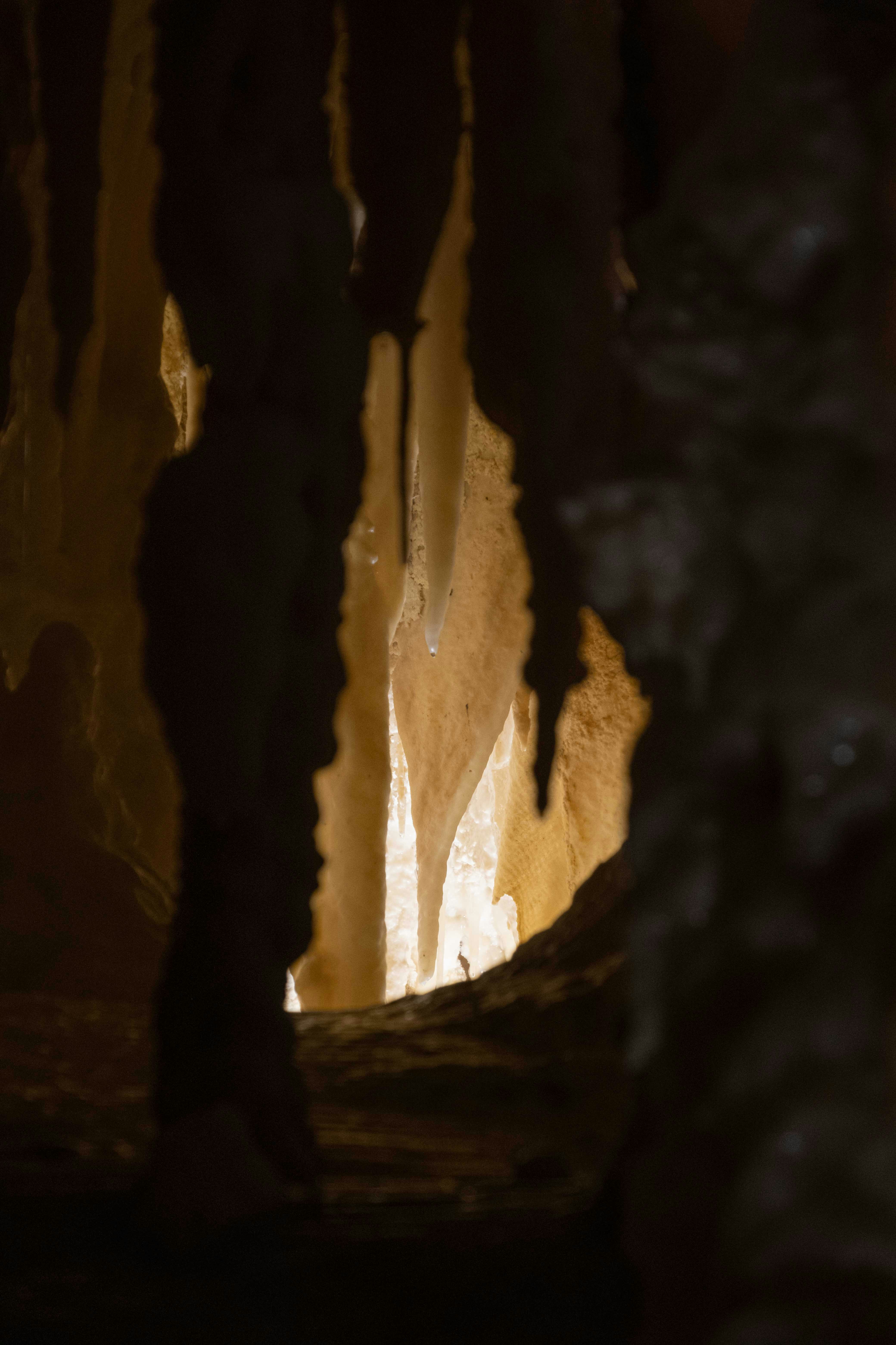 Photo by francesco_ungaro