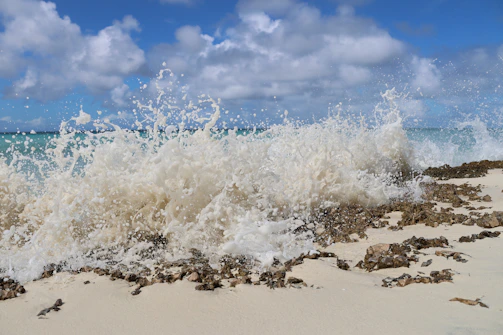 Waves crashing along the Monterey Bay coastline with volunteers cleaning the shore.