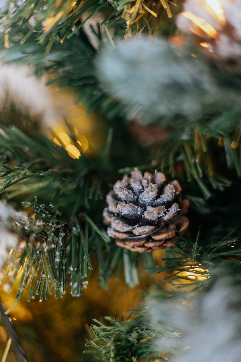 a pine cone hanging from a christmas tree