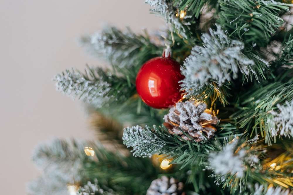 a close up of a christmas tree with a red ornament