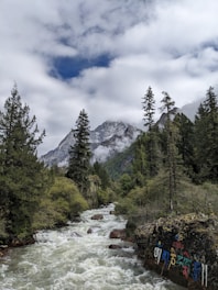 A vibrant logo design featuring mountain motifs and modern typography.