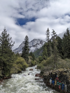 A vibrant logo design featuring mountain motifs and modern typography.