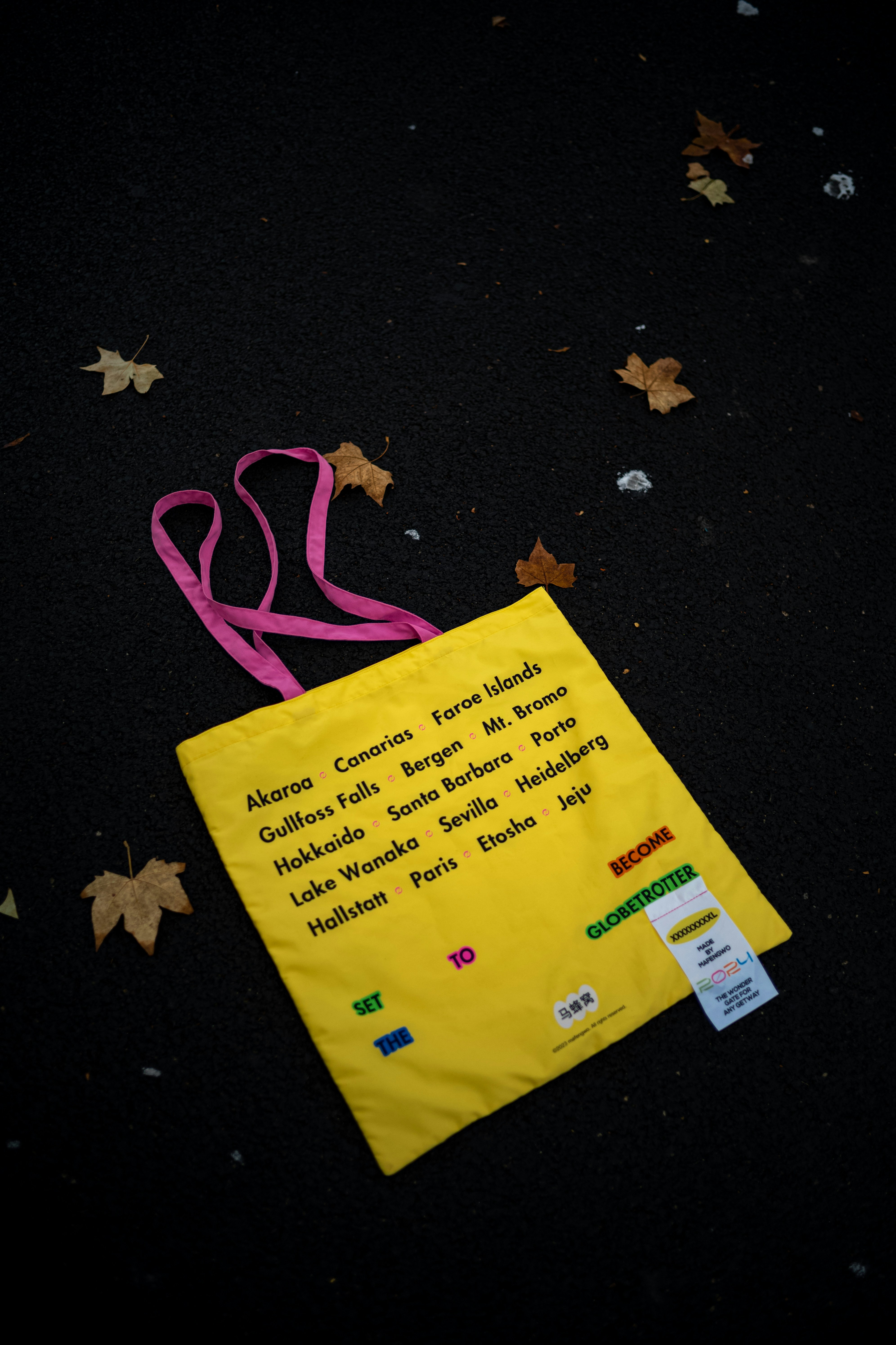 Canvas Tote with Poetry