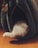 A fluffy cat's tail and back end are sticking out from inside a dark, plush pet bed shaped like a cave. The pet bed is situated on a wooden floor and appears cozy and inviting. There is also a small stuffed bird toy attached to the upper part of the bed.