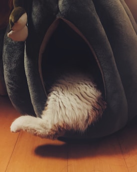 A fluffy cat's tail and back end are sticking out from inside a dark, plush pet bed shaped like a cave. The pet bed is situated on a wooden floor and appears cozy and inviting. There is also a small stuffed bird toy attached to the upper part of the bed.