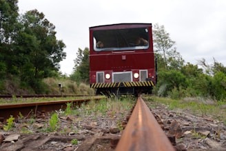 A red train approaches along a single railway track surrounded by lush greenery. The perspective is low, emphasizing the track and the front of the train. Two people are visible inside the train cabin. The environment is natural, with various plants and trees on either side of the track.