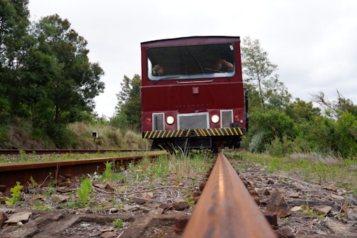 A red train approaches along a single railway track surrounded by lush greenery. The perspective is low, emphasizing the track and the front of the train. Two people are visible inside the train cabin. The environment is natural, with various plants and trees on either side of the track.