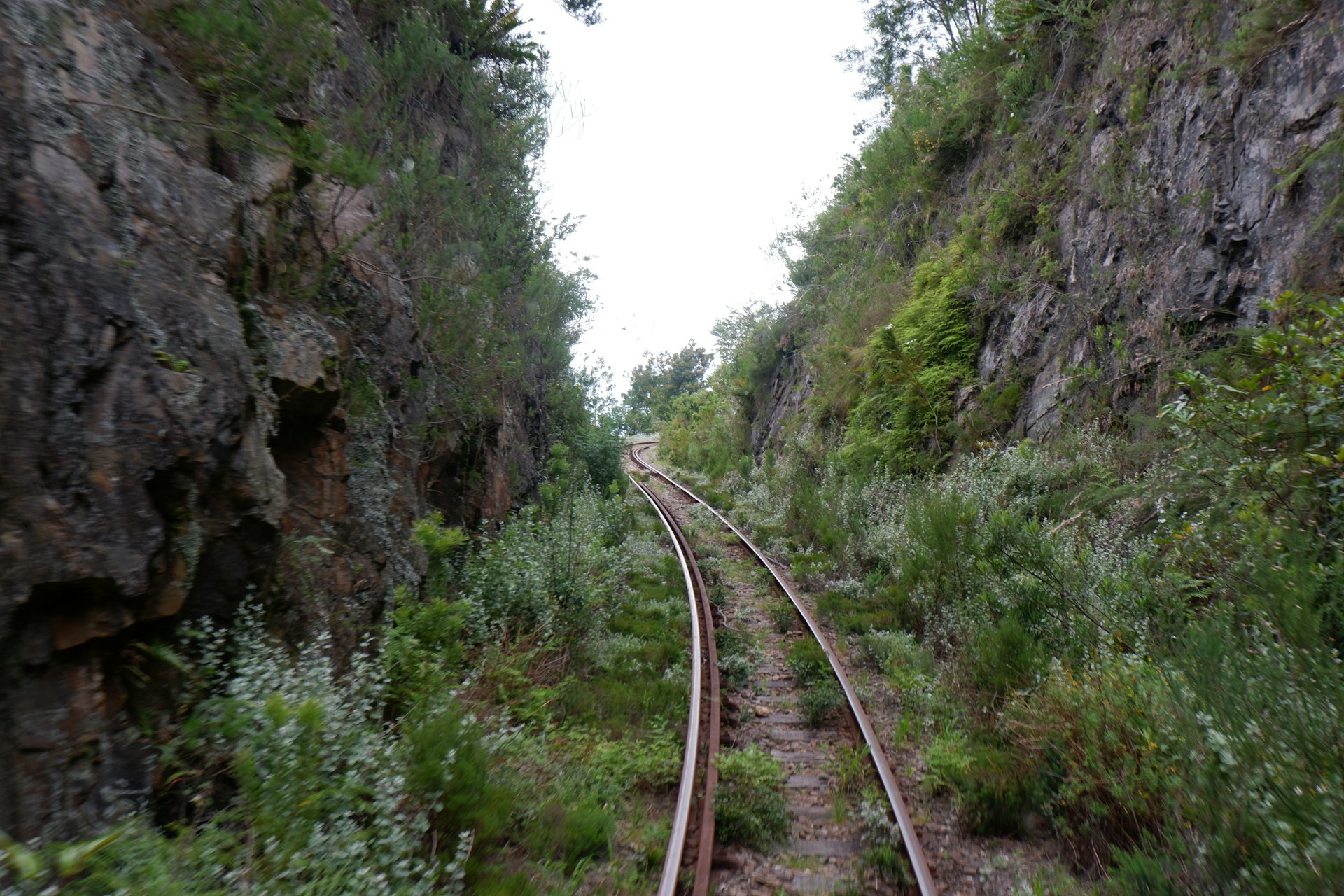 gray computer monitor