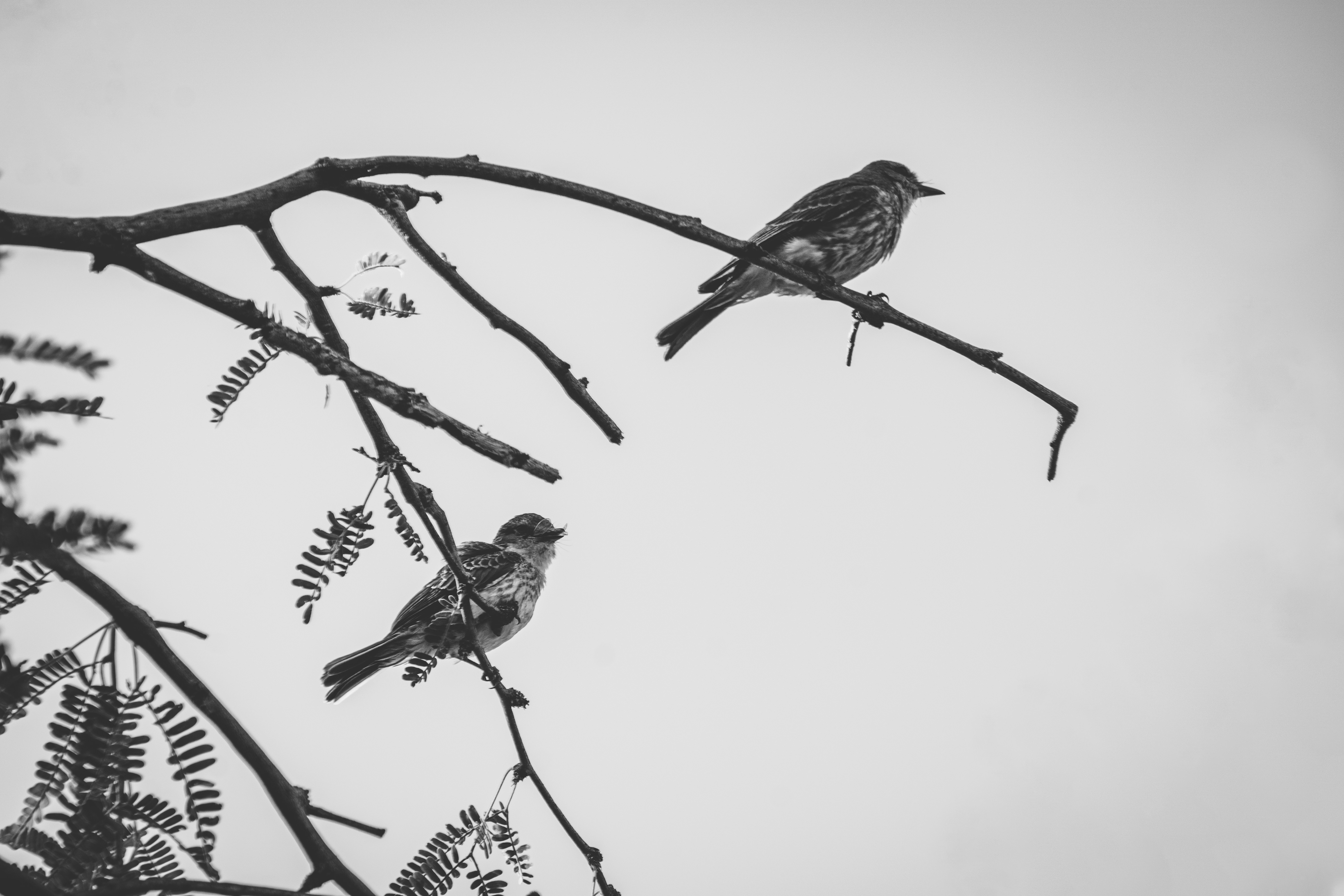 Photo by djparsleyart