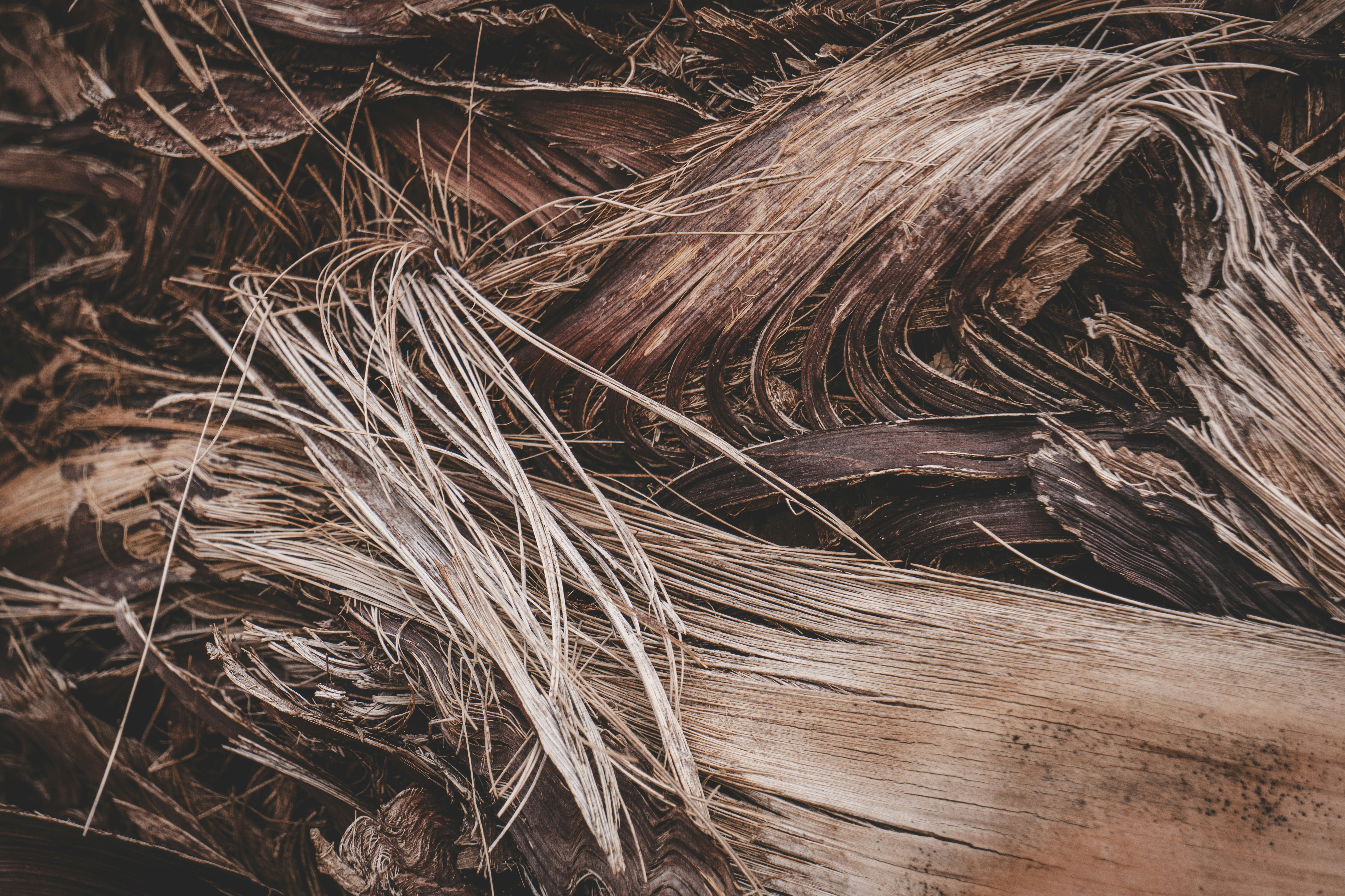 Healthy, shiny hair illustration