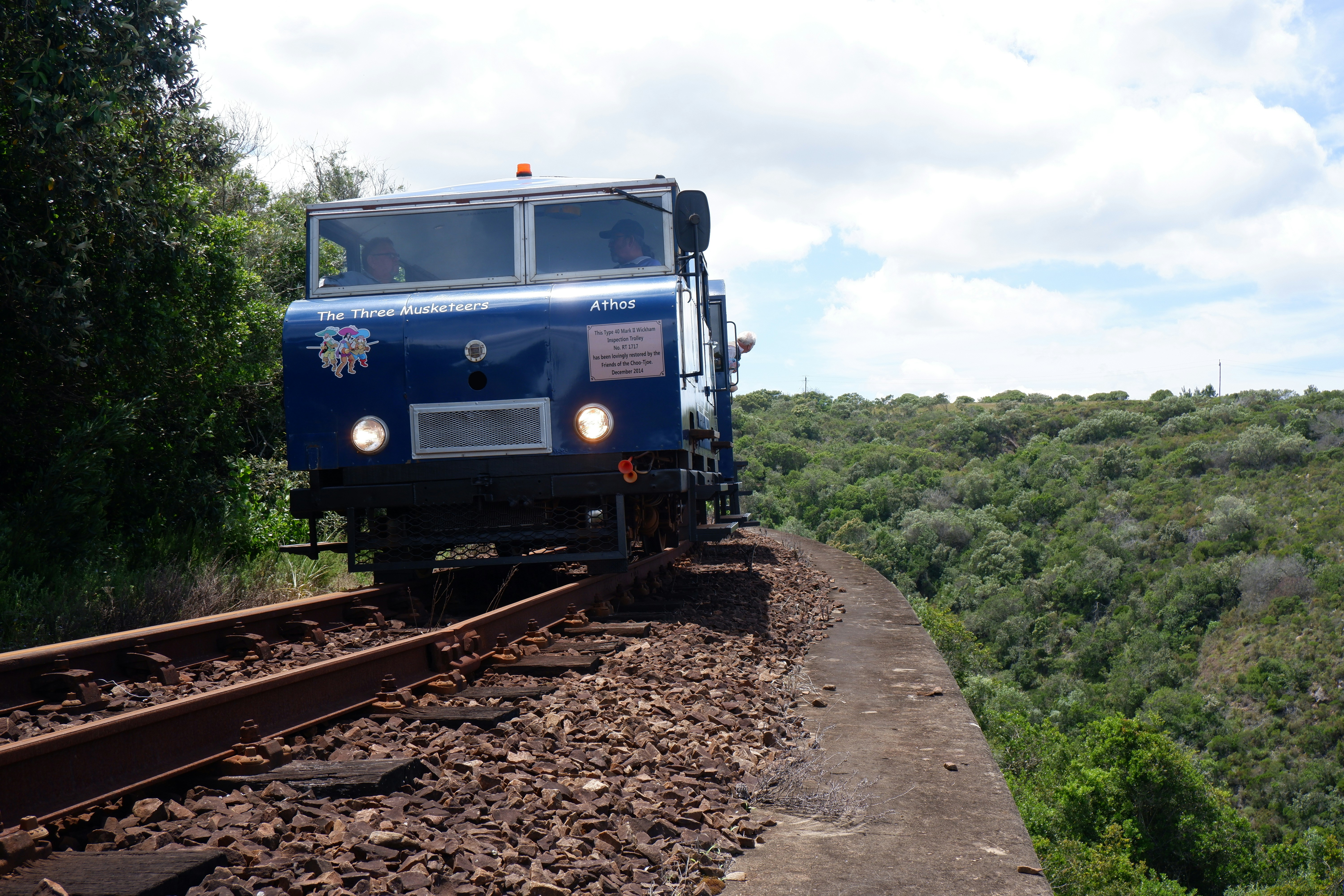a train traveling through a lush green countryside
