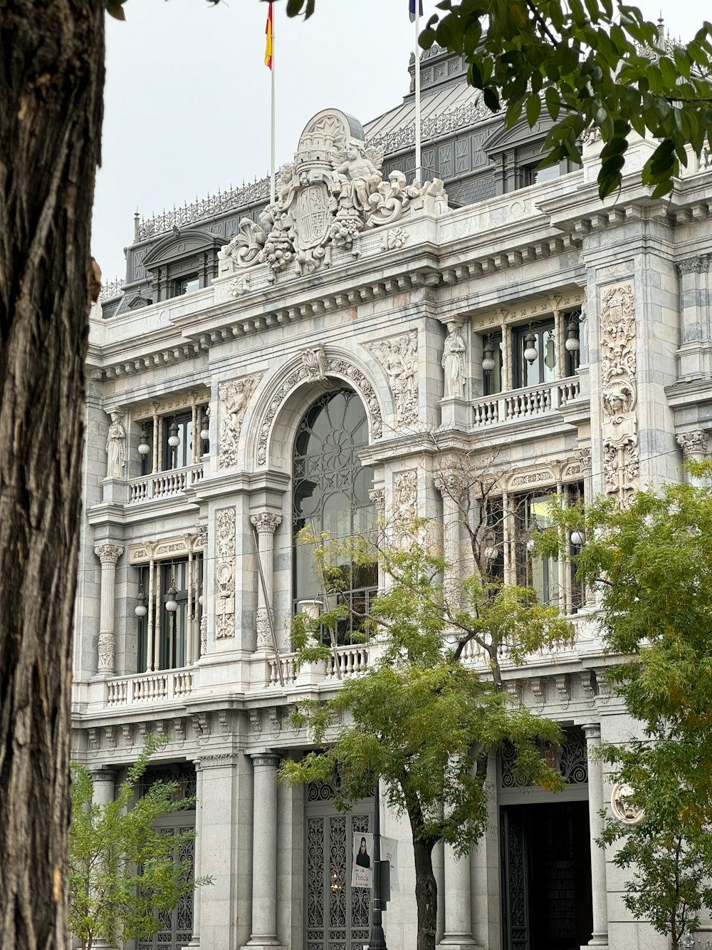 un gran edificio con un árbol frente a él