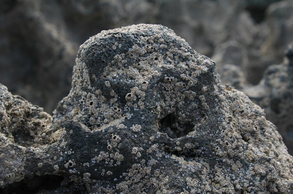 a close up of a rock with small rocks in the background