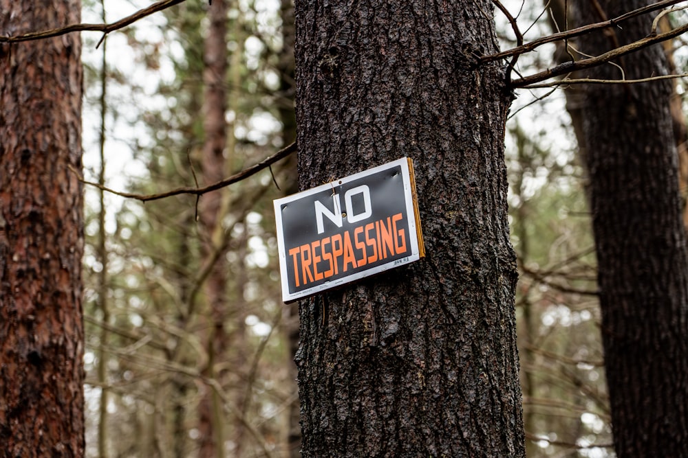 a no trespassing sign is posted on a tree