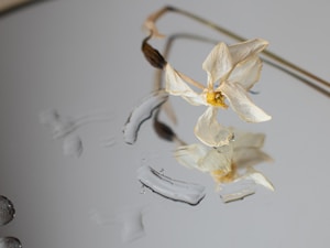 Pastel Resin Blossom